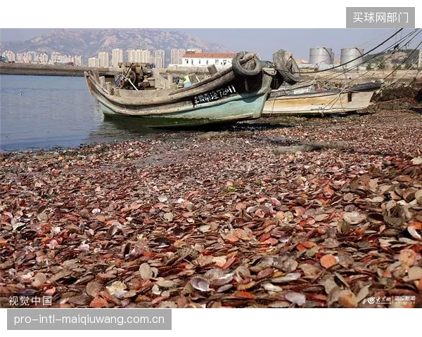 上海前滩太古里“城市沙滩”项目：其特制石英砂的防尘性能如何成为吸引高端家庭客流、延长驻留时间的关键